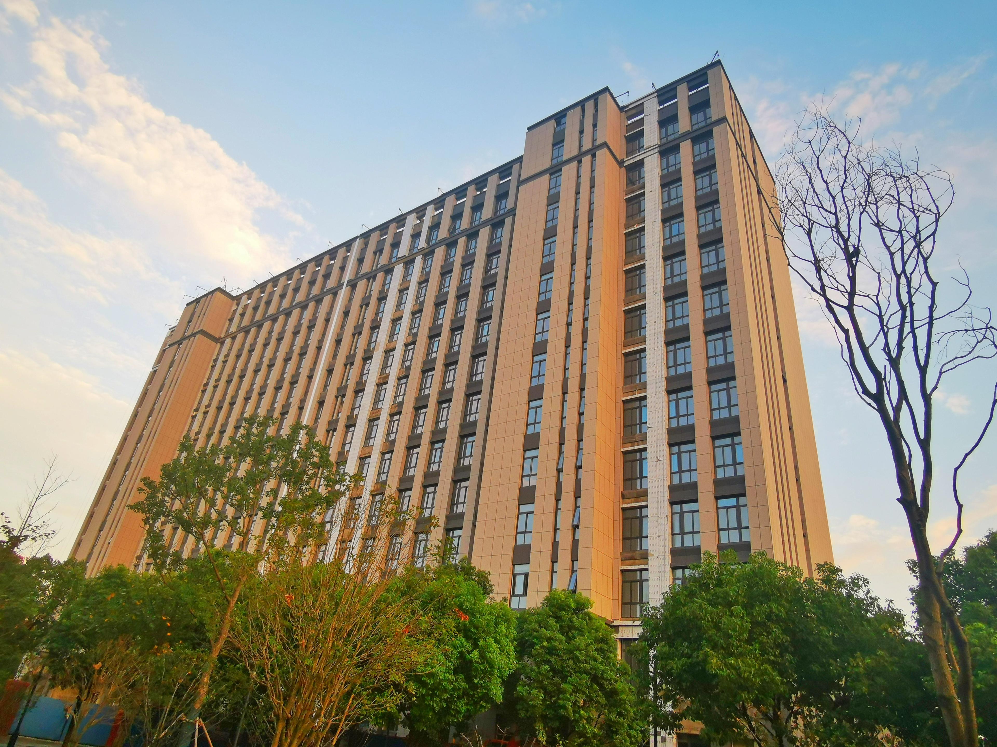 Beijing Government Scholarship