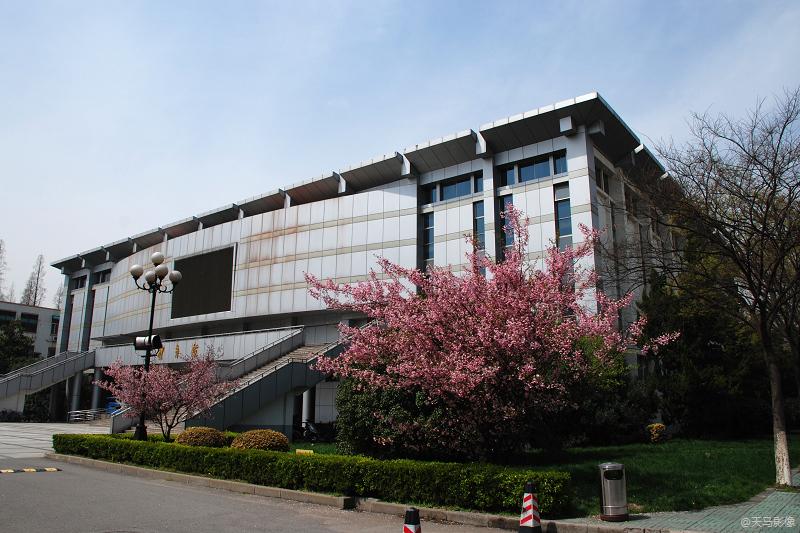 Confucius Institute Scholarship