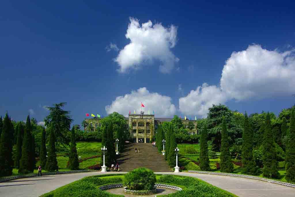 bg-image