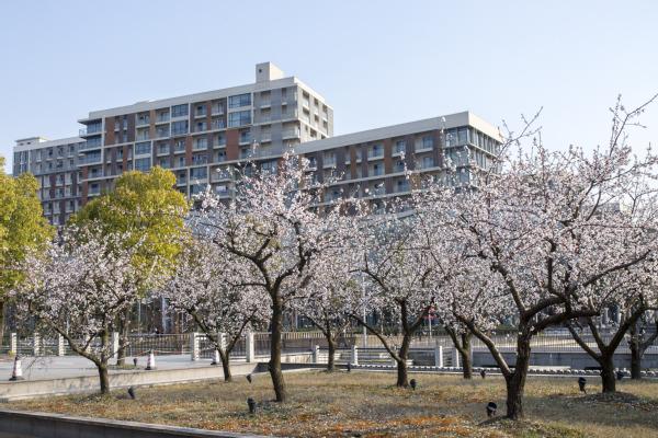 ShanghaiTech University
