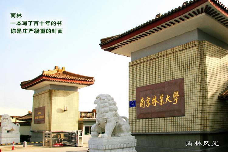 Nanjing Forestry University